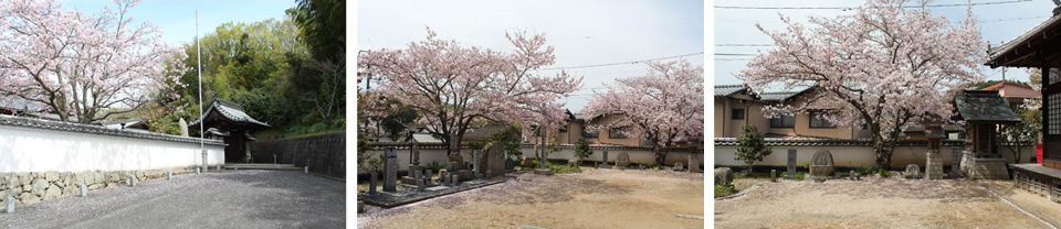 地蔵院について